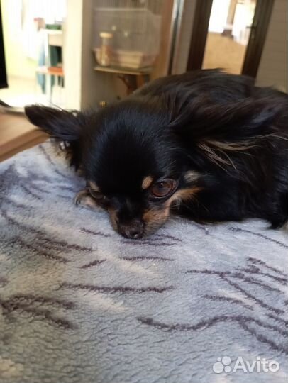 Ищем жениха