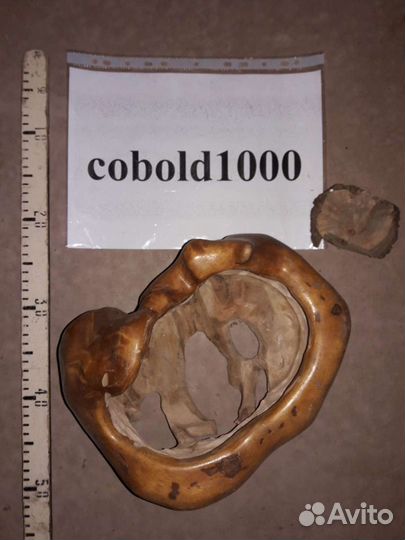 Свиль и кап берёзовый