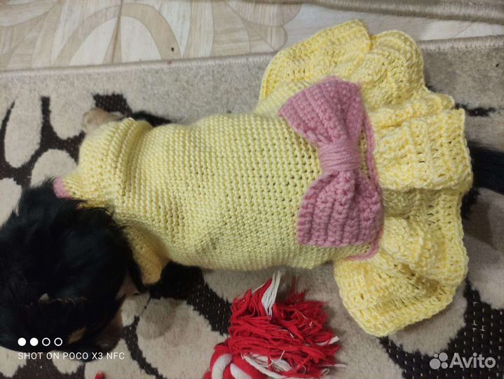 Платья для маленьких собак