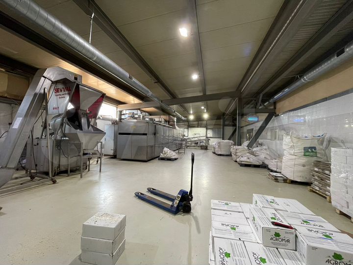 Пищевое производство 2700 кв м