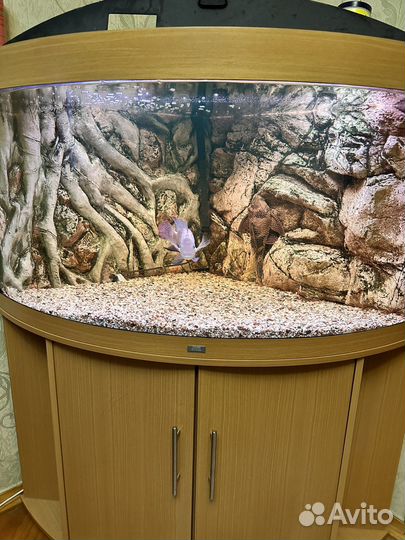 Аквариум с тумбой juwel