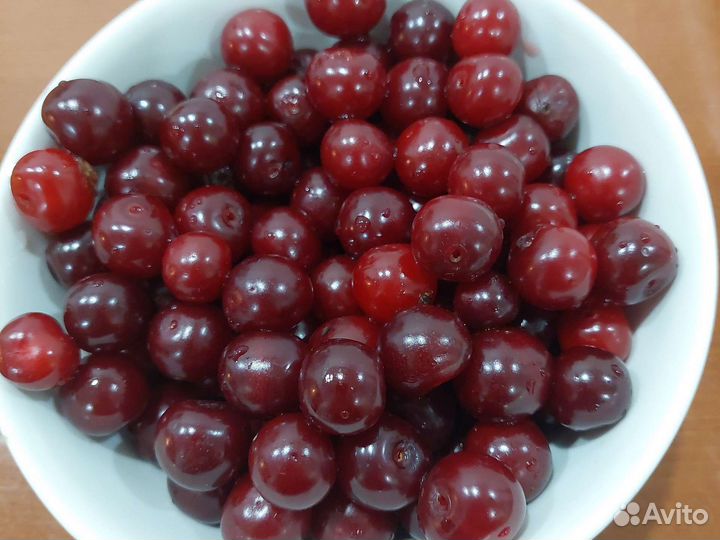 Вишня свежая
