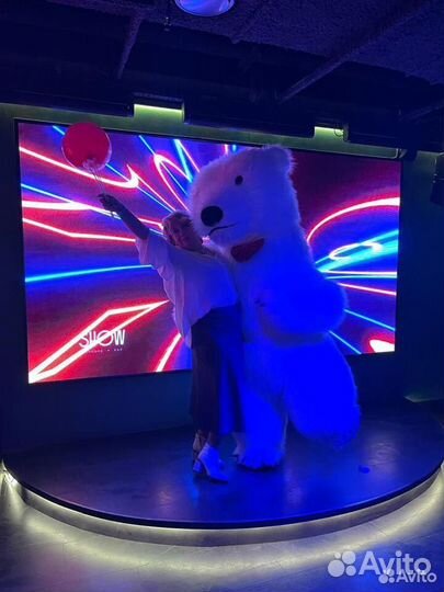 Белый Мишка