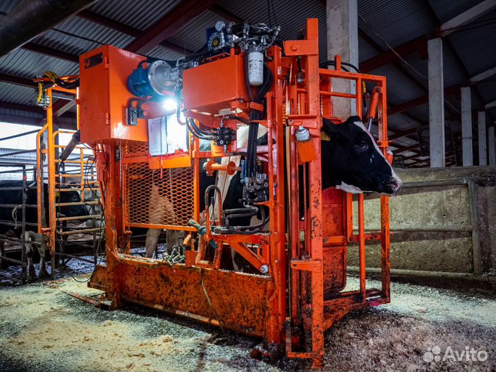 Станок для обрезки копыт