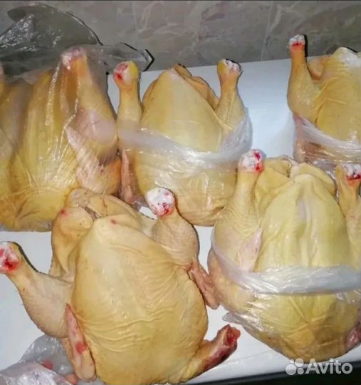Куры бройлеры тушки мясо