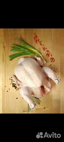 Куры бройлеры