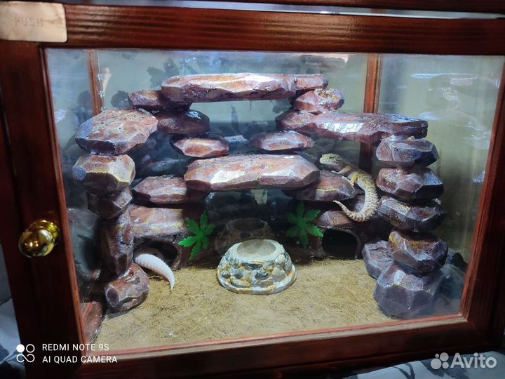 Террариум для рептилий
