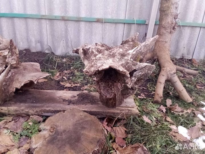 Спилы из дуба