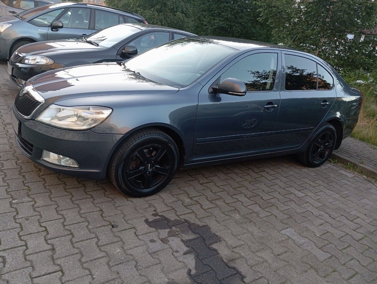 Skoda Octavia: фото владельца