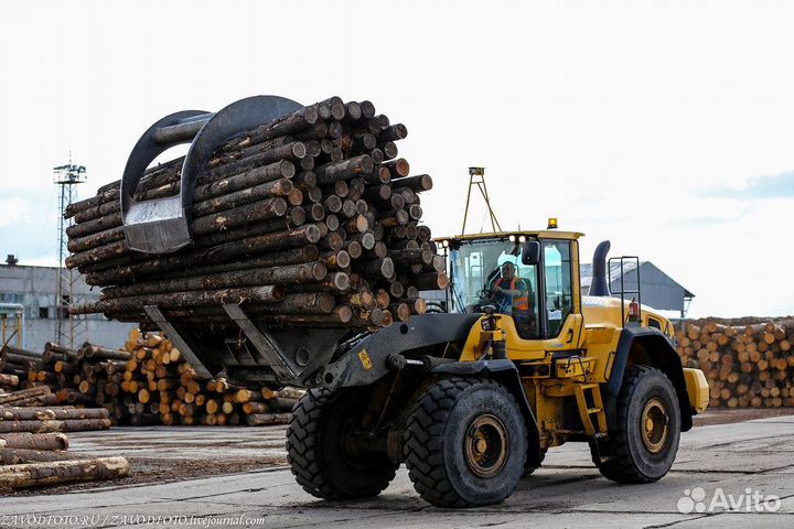Лесной актив. Ок-мость 2 года. 60000 куб. лесосека