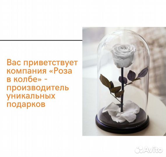 Роза в колбе. Много оттенков