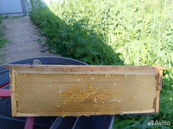 Рамки с сушью для ульев