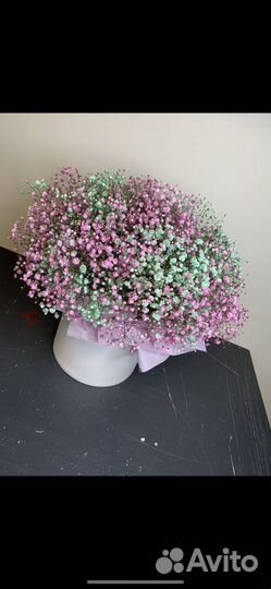 Цветы Композиции из гипсофилы