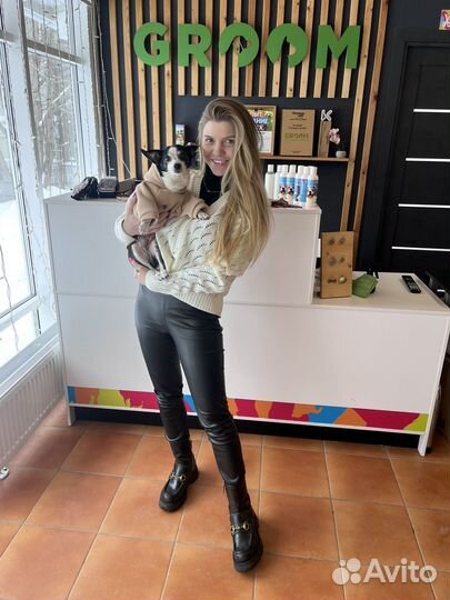 Одежда для маленькой собаки толстовка