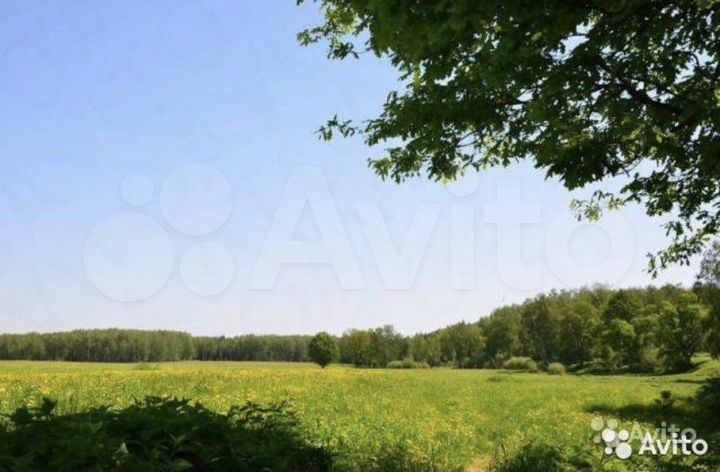 Участок 2,5 га (СНТ, ДНП)