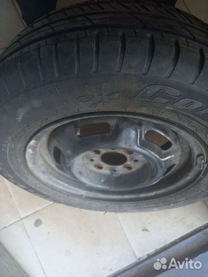 Accelera Accelera Summer 175/70 R13