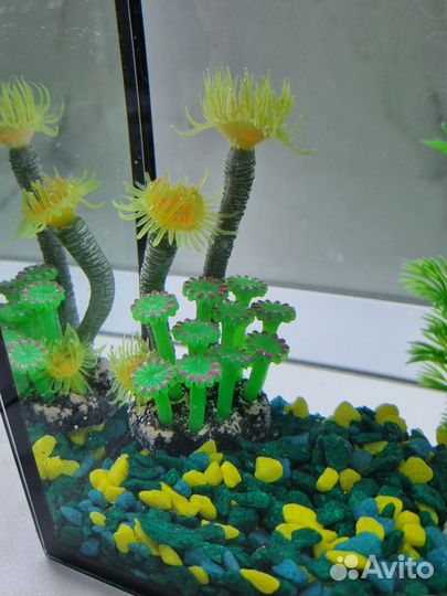 Аквариум для петушка 8 л с украшениями