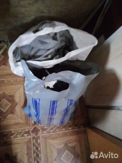 Отдам женские вещи размер 42-44