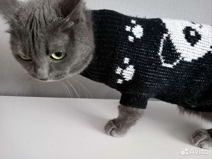 Свитер для маленьких собак кошки