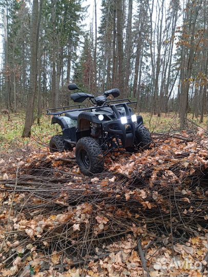 Квадрацикл