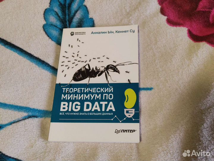 Книга Теоретически минимум по BIG data