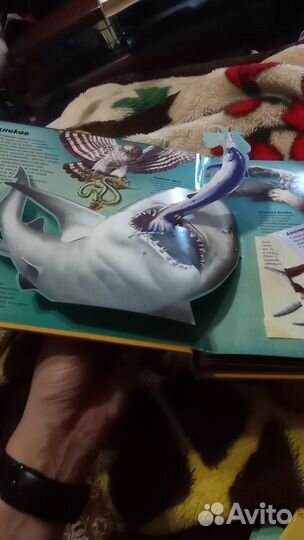 Книга про хищников