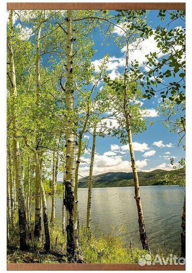 Обогреватель домашний очаг 500 вт на Комсомольском