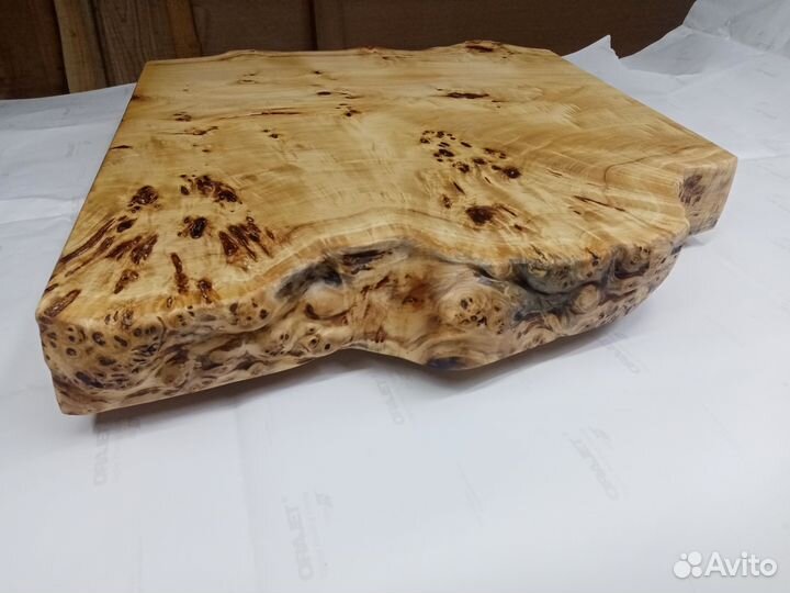 Каповый тополь калиброванный