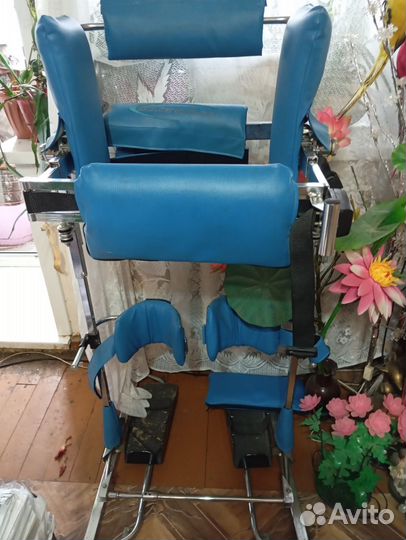 Папаподиум