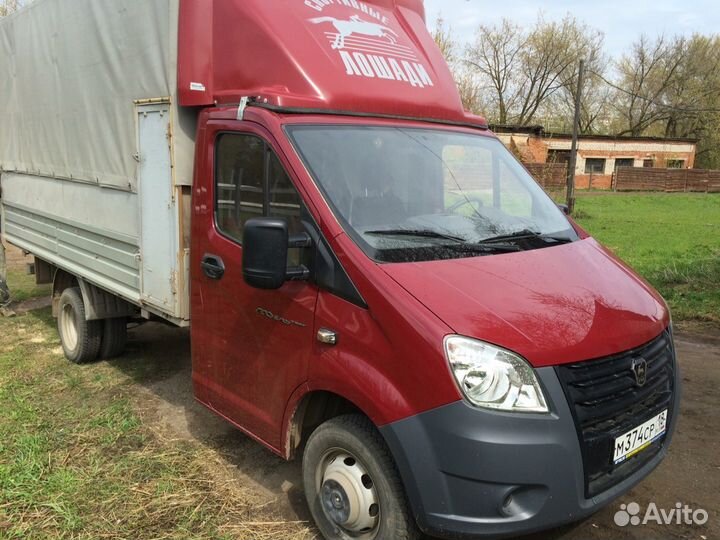 Перевозка лошадей на оборудованной коневозке по РФ