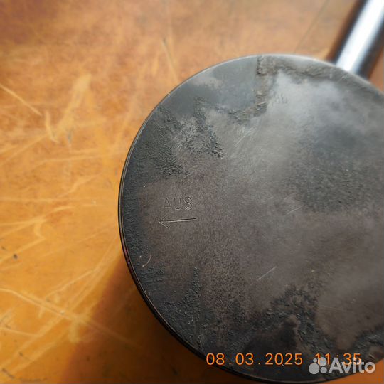 415129542 rotax 550F поршень В сборе