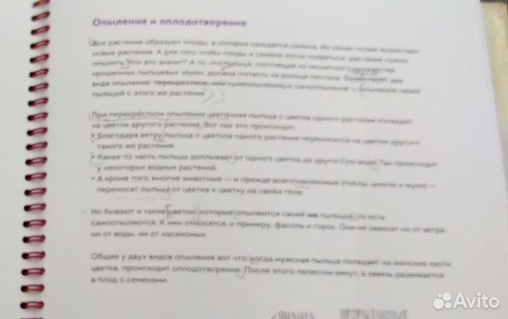 Про детство на кораблях. Вулканы. Научный комикс