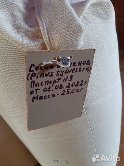 Семена / Ель обыкновенная