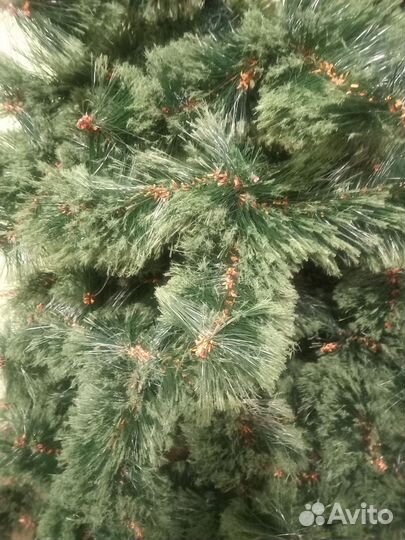 Сосна искусственная бу