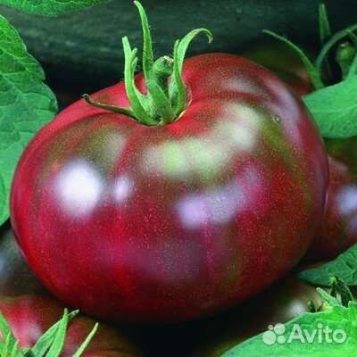 Семена томатов коктейльных