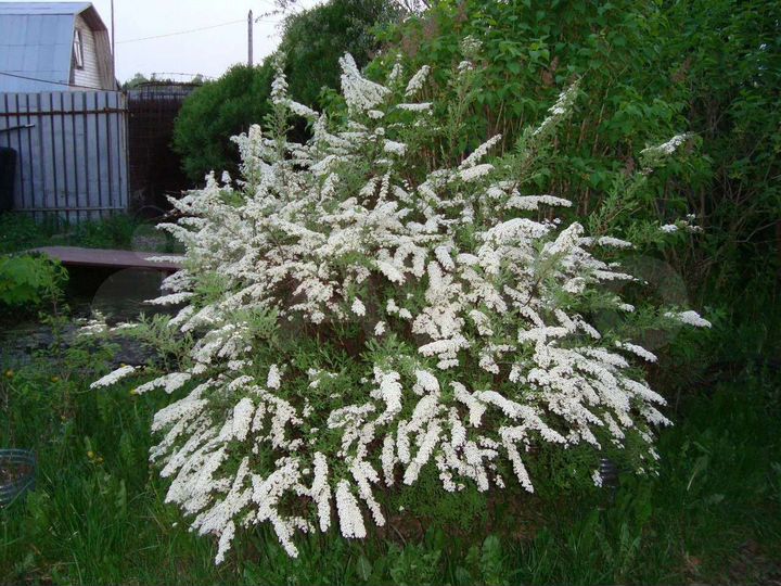 Дом 80 м² на участке 14 сот.