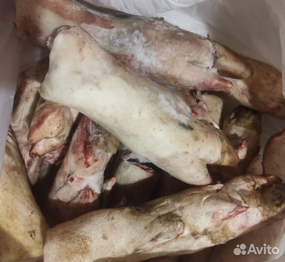 Мясо для животных
