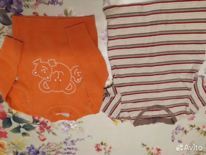 Отдам бесплатно