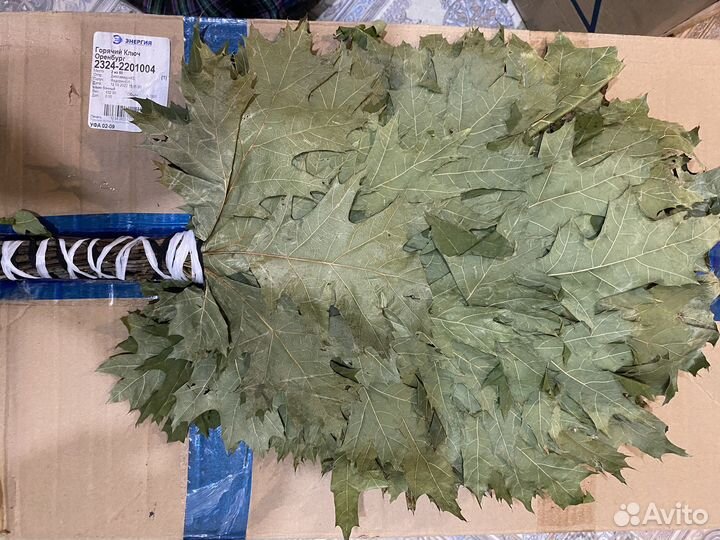 Веник из Канадского дуба,пихта