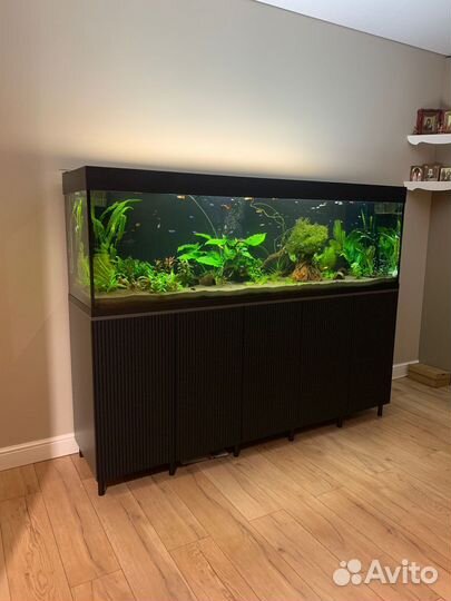 Аквариумы, готовые и на заказ, любые размеры