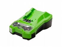 Зарядное устройство Greenworks G24C4 24v, 4a