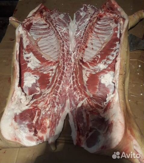 Мясо свинина опт
