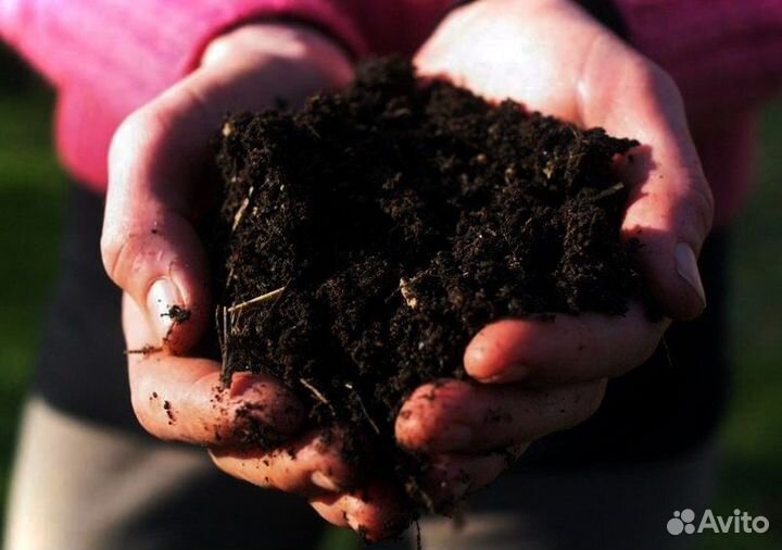 Грунт растительный