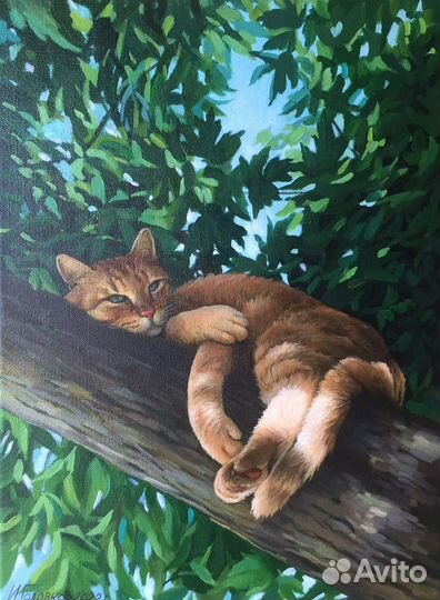 Картина маслом кошки коты(кот на дереве)