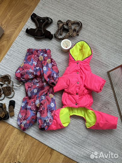 Зимний и демисезонный комбинезон для собак