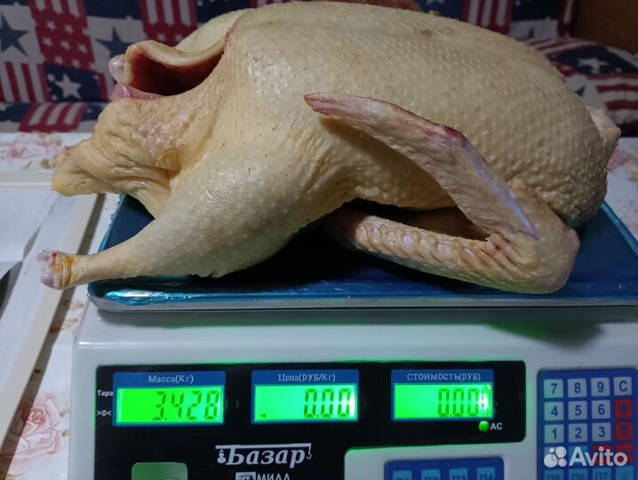 Домашние мясо