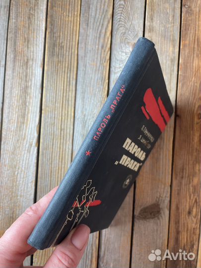 Гончаренко, Шнайдер 