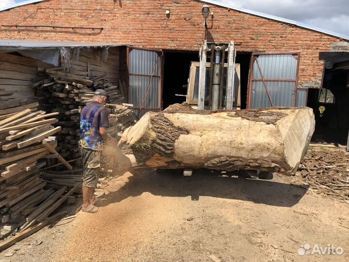 Карагач. доска не обрез обрез