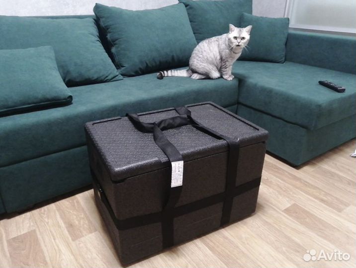 Ударостойкие термобоксы