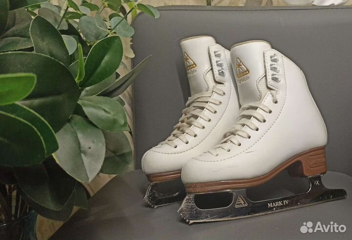 Фигурные коньки Jackson Artiste